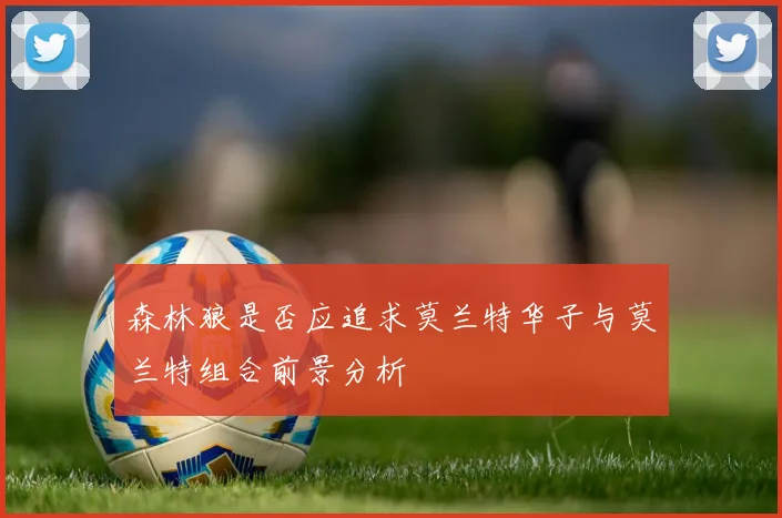 森林狼是否应追求莫兰特华子与莫兰特组合前景分析